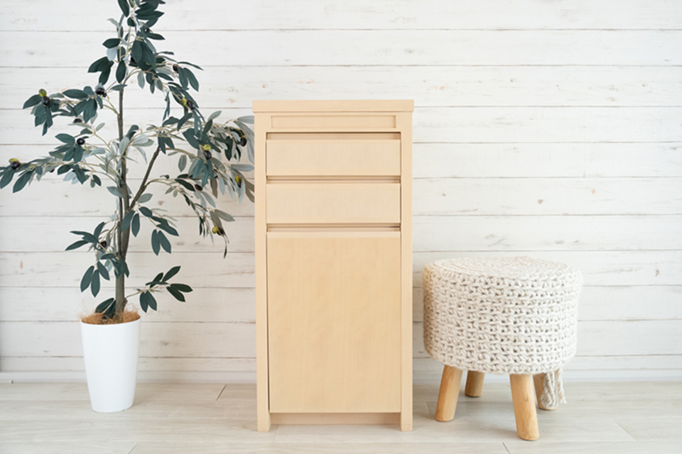 初代「守護神すばる」